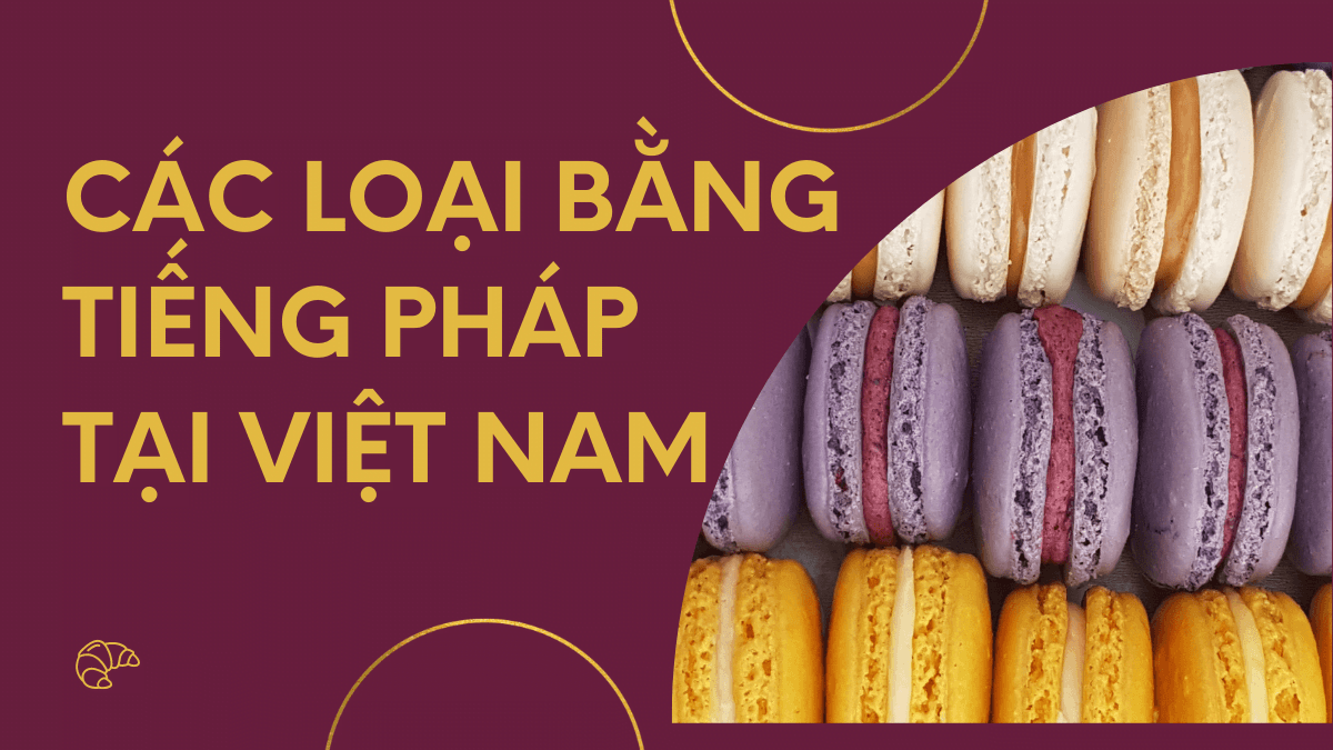 Chi tiết các loại bằng tiếng Pháp tại Việt Nam cho người lười tìm hiểu