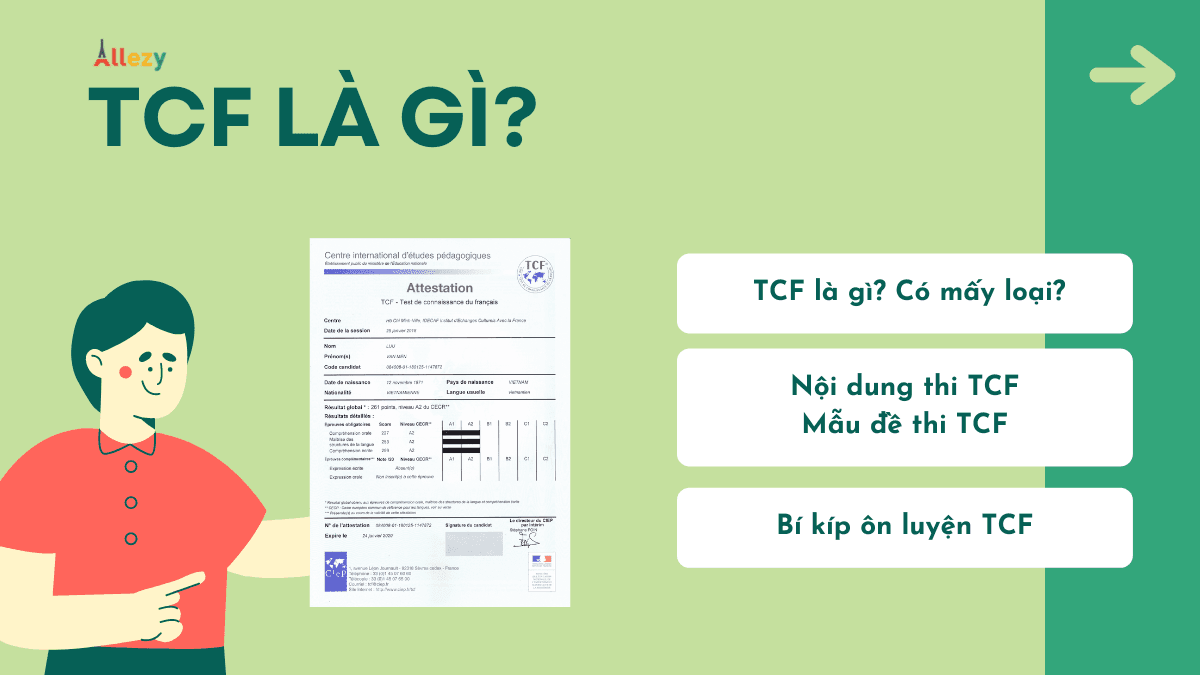 TCF là gì? Tất tần tật về TCF